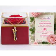 שרשרת חיבוק